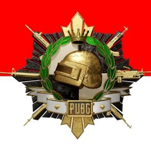  AromiNet PUBG Profile Picture October 2026