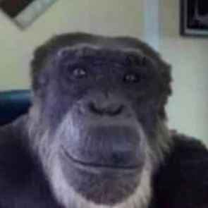  CapsLock Pubg Profilbild May 2025