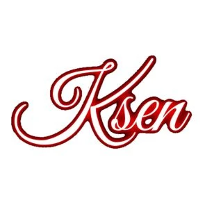  Ksen Valorant Profilbild May 2025
