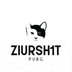  ZiurSh1t Pubg Profilbild June 2024