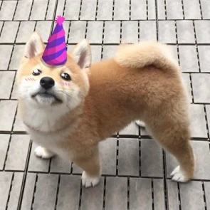 Twitch dizzy-apex-legends Apex Legends Profilbild April 2025