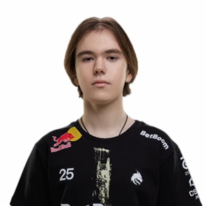Team Spirit donk Cs2 Profilbild March 2025