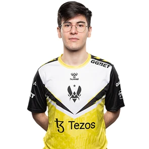 Vitality flamez Cs2 Profilbild December 2024